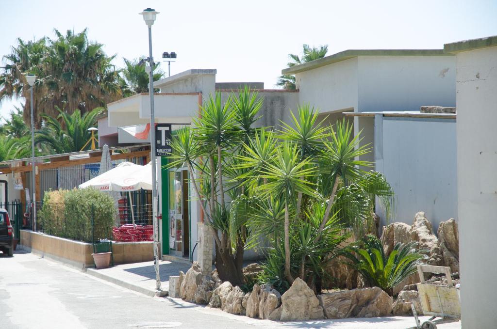 Kamemi Village & Camping Ribera Extérieur photo